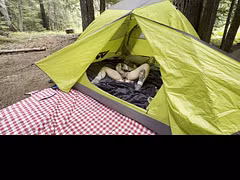 Caught Masturbating in the Woods!! Butch Babe Rubs Pussy in tent, VOYUER/EXHIBITION-FTM,TOMBOY,DYKE