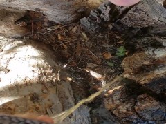 FTM Pee In Tree