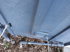 FTM Spraying Pee Against My House