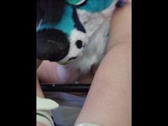 Fursuiter puts himself in bondage and shows off feet