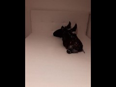 Gasmask Masturbation Trans Girl Breathplay in Wetsuit