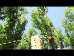 Mesmeriza_compilation_11_Island_of_Desires_