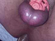 Sissy begs for  cock