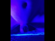 Trap riding plug and humping your face until feral growling cumshot! OwO