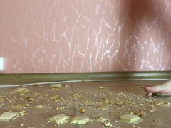 UNAWARE TRANNY GIANTESS WALKS ABOVE WAFFLES AND COOKIES AND CRUSHES THEM – 1 (CRUSH/FOOT FETISH)