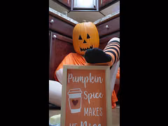 Messy Pumpkin TGirl Butters Her Butt And Rides Monster Cock
